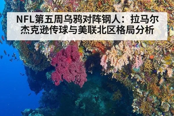 NFL第五周乌鸦对阵钢人：拉马尔杰克逊传球与美联北区格局分析